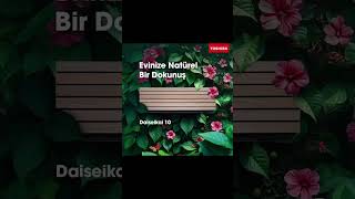 Daiseikai 10 ile evinize natürel bir dokunuş🌲 [upl. by Zippel]