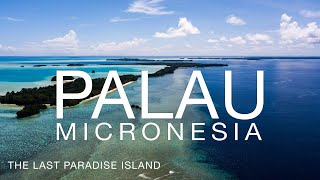 Palau  Micronesia  The Last Paradise Island [upl. by Nyberg483]