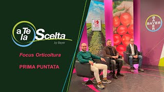 «a Te la Scelta»  Il Rosso by Bayer lintegrazione tra Genetica e Protezione [upl. by Ewold868]