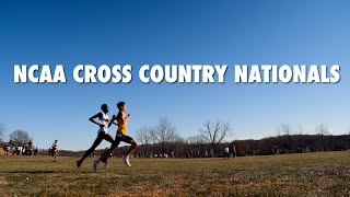 NCAA Cross Country Nationals 2023 cinematic [upl. by Livingstone174]