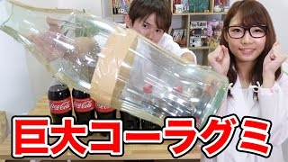 【実験】超巨大ペットボトルコーラグミ作ってみた！【さとちん ✕ ボンボンTV】 [upl. by Aset]