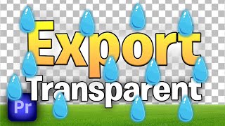 How To Export Transparent Video In Premiere Pro [upl. by Euqinue751]