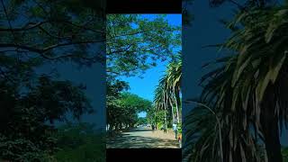 Bahir dar ባህር ዳር [upl. by Cyrill]