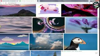 How to download free images from pixabay  How To Download HD images From Pixabay  Copyright Free [upl. by Natty]