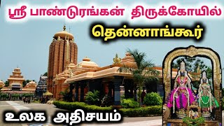 Vandavasi Thennangur Pandurangan Temple full history தென்னாங்கூர் ரகுமாயீ சமேத பாண்டுரங்கன் கோயில் [upl. by Adal]