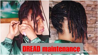 How to maintain your DREADLOCKS AT HOMEDREAD TIPS [upl. by Annayd]