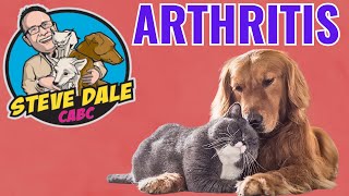 Dog and Cat Arthritis EXPLAINED  Librela amp Solensia [upl. by Oiraved]