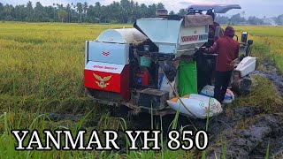 Langsung dihajar Combine Havester YANMAR YH850 Tidak Ada lawan  Panen Padi Moderen [upl. by Adnical]