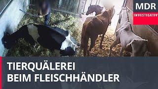 Vorwurf Tierquälerei Razzia bei Fleischhändler [upl. by Tnecnivleahcim]