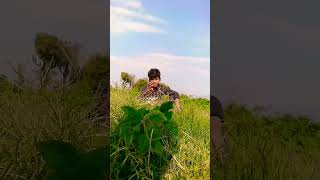 matala upar matlu viralshorts shorts instagram reels love song [upl. by Moureaux]