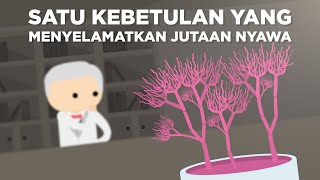 Satu Kebetulan yang Selamatkan Jutaan Nyawa [upl. by Nakre]