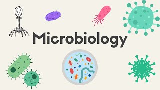 Antibiotics and antibiotic resistance [upl. by Darahs]