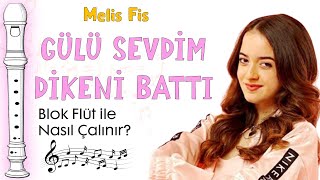 GÜLÜ SEVDİM DİKENİ BATTI Flüt Notaları Melis Fis [upl. by Sy]