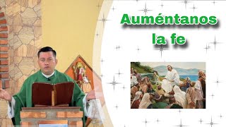 MISA DE HOY Lunes 11 de Noviembre de 2024 Padre Ricardo Prato [upl. by Neelram]