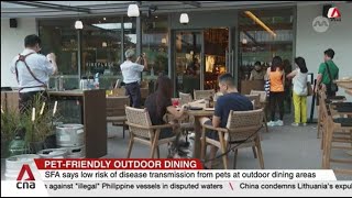 Restaurants can serve patrons with pets in outdoor settings without SFA approval from 2025 [upl. by Eceinal282]