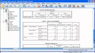 Kappa  SPSS part 2 [upl. by Ecnahs]