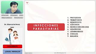 INFECCIONES PARASITARIAS PARTE 1  INFECTOLOGÍA  VILLAMEDIC [upl. by Iek581]