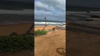 Kovalam Beach Thiruvanantapuram [upl. by Nanreik966]