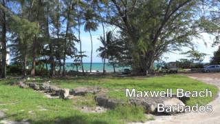 Barbados  Maxwell Beach  Sunbay Hotel [upl. by Edie]