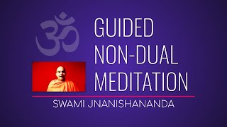 Guided Non duality Meditation by Swami Jnanishananda advaita [upl. by Iveel636]