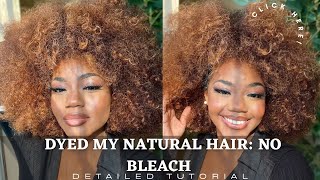 How To DYE Hair HONEY BLONDE  NO BLEACH Step by Step Natural HAIR Ombre Color [upl. by Chally890]