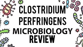 CLOSTRIDIUM PERFRINGENS GAS GANGRENEFOOD POISONINGLEVINSION MICROBIOLOGY REVIEW DETAILED [upl. by Obbard]