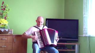 Der einsame hirte accordion akordeon [upl. by Ibson676]