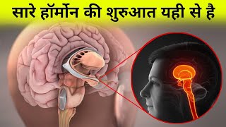 शरीर मे सारे हॉर्मोन को कंट्रोल कौन करता है  hormones of hypothalamus [upl. by Seumas996]