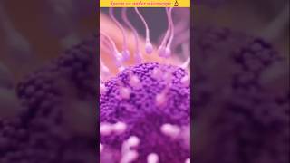 Sperm ᯡ under microscope 🔬॥shorts ytshorts microscope viralvideo [upl. by Ursulina]