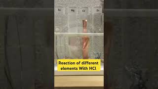 Reaction of different metals with HCl shortsfeed chemistryexperiment chemistry viralshort [upl. by Auginahs]