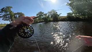 Grayling fishing [upl. by Tsirc]