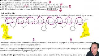 Bradykinin là một peptide được sản sinh từ huyết thanh trong máu là chất làm giãn mạch máu và gây [upl. by Corrine]