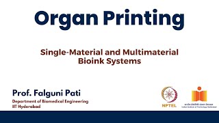 SingleMaterial and Multimaterial Bioink Systems [upl. by Gere896]