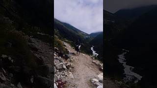 Horse riding near pangboche village everest base camp trekking trail horseriding ebctrek [upl. by Amliw88]