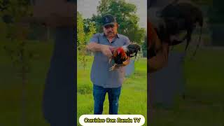 Chuy Lizárraga y Su Banda Tierra  Partido En Dos [upl. by Anih299]