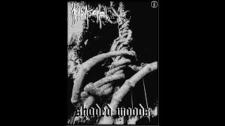 AcidAlcohol  Shaded woods Single Dark Ambient  Dungeon Synth [upl. by Deanna656]