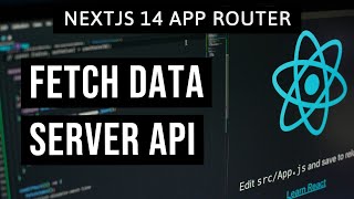 NextJS 14  How to FETCH DATA SERVER API Routes [upl. by Attenev194]