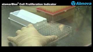 alamarBlue® Cell Proliferation Indicator [upl. by Shannan]