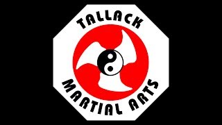 Tallack Martial Arts  Ippon Kumite [upl. by Beckie829]