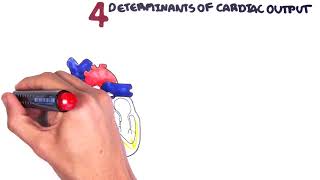 Cardiovascular System Physiology  Cardiac Output stroke volume heart rate preload and afterload [upl. by Srini563]