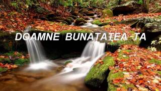 DOAMNE BUNATATEA TA  Nelu Mot [upl. by Yatnoed]