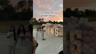 The Perez Twins Gender Reveal 🙌🏽🤗  WeekendVibes [upl. by Reyaht]