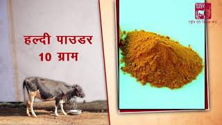 Ethnoveterinary formulation for Fever Hindi [upl. by Maryrose]