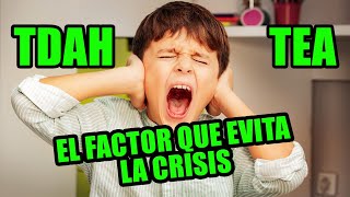 Como evitar y solucionar la crisis en niños con TDAH y TEA [upl. by Sivlek]