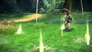 Archer Skill  Rain of Arrows [upl. by Pachton]