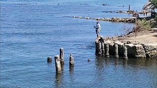 Conoce La Verdadera COVEÑAS 2 Barrio La Isla Puntepiedra y boca de la Ciénaga [upl. by Zerdna]