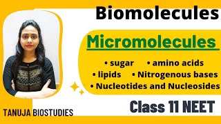 Biomolecules  Micromolecules  Sugars  Amino acidNitrogenous base Lipids Class 11 BiologyNEET [upl. by Ahrat]