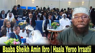 Gingilchaa sheikh amin ibro  haala yeroo irrati [upl. by Heppman]