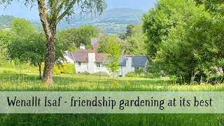 A garden visit to Wenallt Isaf Gwent [upl. by Cassy]