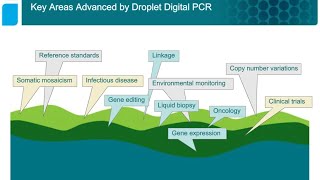 Counting with Droplet Digital™ PCR – More Applications than Anyone Ever Dreamed Of [upl. by Lexerd314]